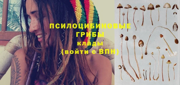 амф Верхний Тагил