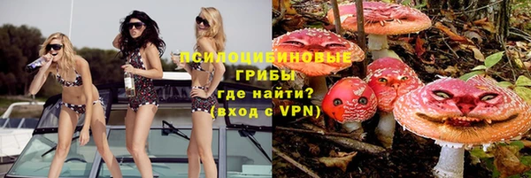амф Верхний Тагил