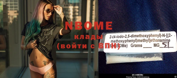 амф Верхний Тагил