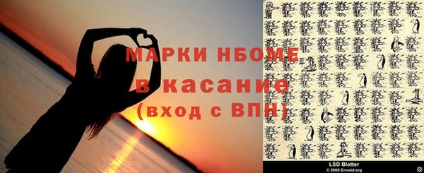 амф Верхний Тагил