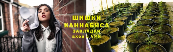 амф Верхний Тагил