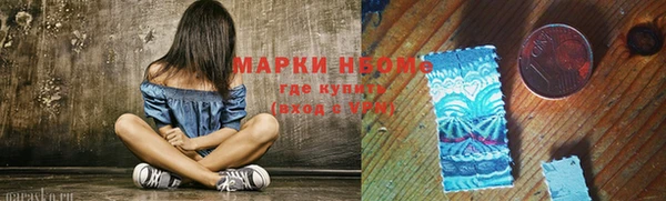 амф Верхний Тагил