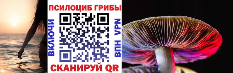 shop состав  kraken маркетплейс  Вытегра  Галлюциногенные грибы MAGIC MUSHROOMS 