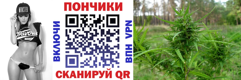 Канабис OG Kush Вытегра